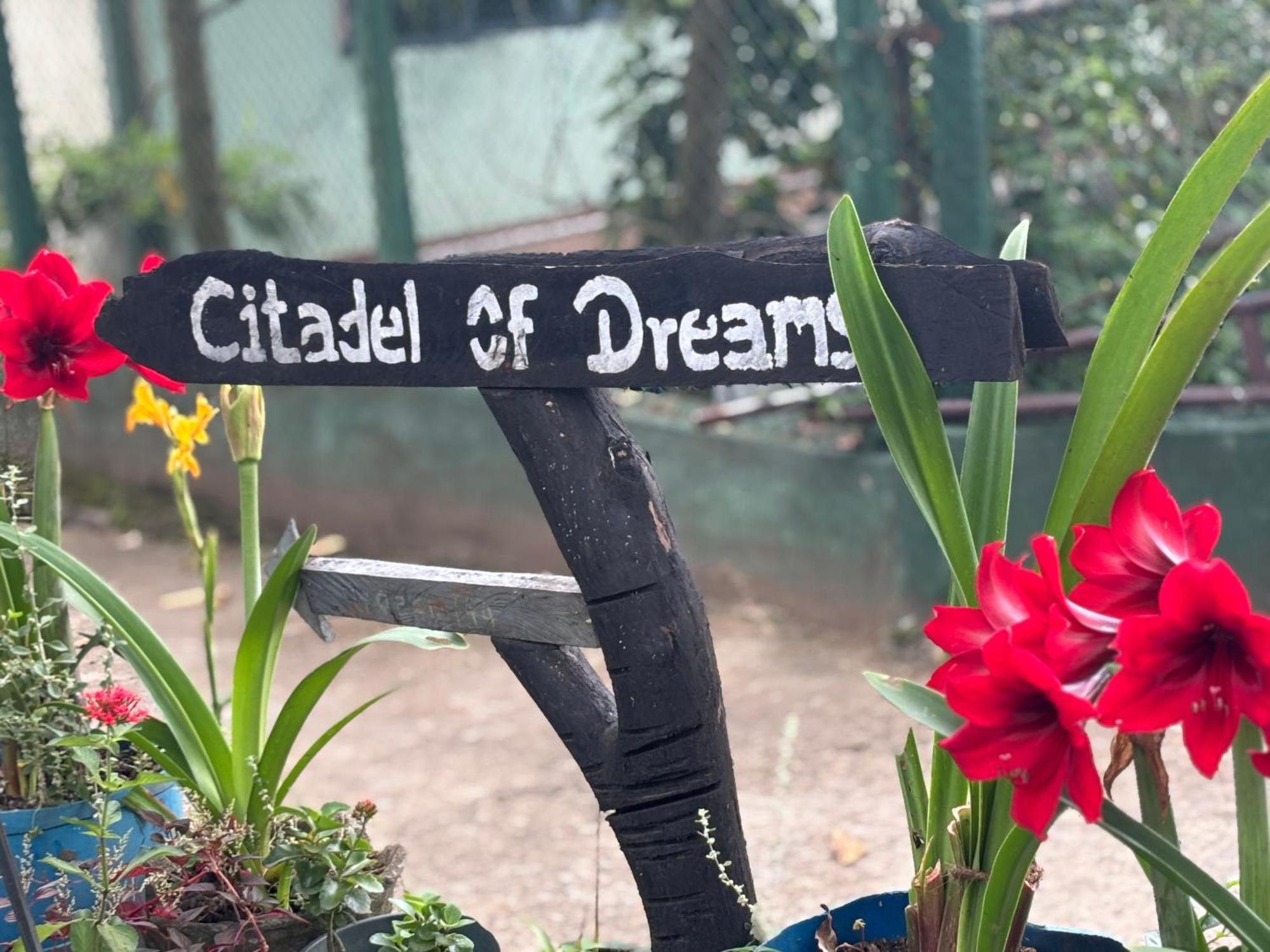 Апартаменты Citadel Of Dreams Элла Экстерьер фото